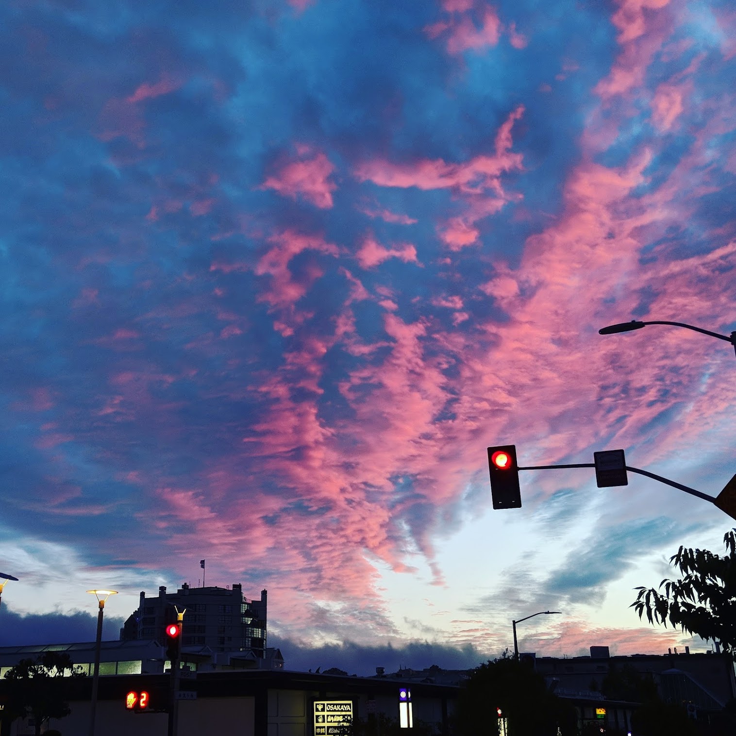 San Francisco on Wednesday night
