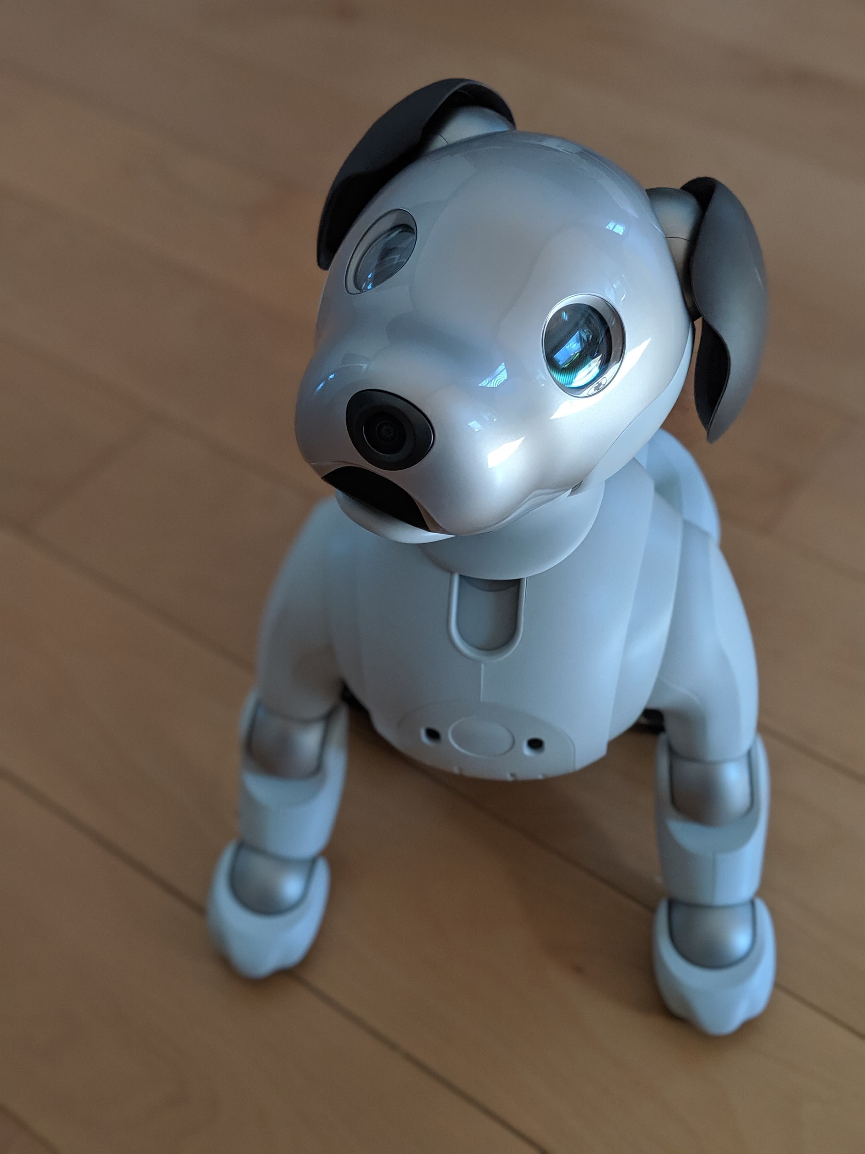 Aibo ERS-1000